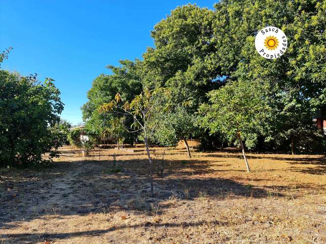 TERRENO CON PROYECCION INMOBILIARIA EN CHIGTE (184909)