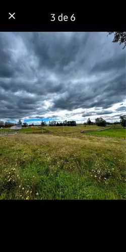 PARCELA TERRENO OSORNO OVEJERIA