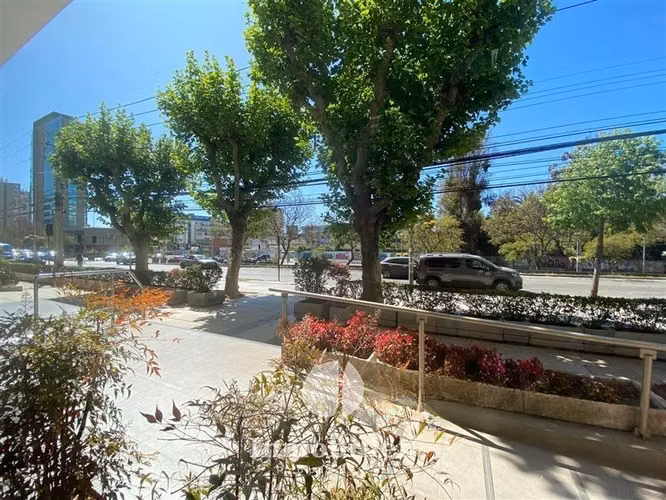 Excelente Departamento en venta 2D2B, Viña del Mar - Alvarez - Imagen 19
