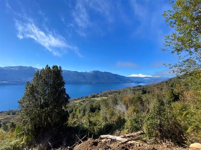 Parcelas a 1 minuto del Lago Riñihue, urbanizadas