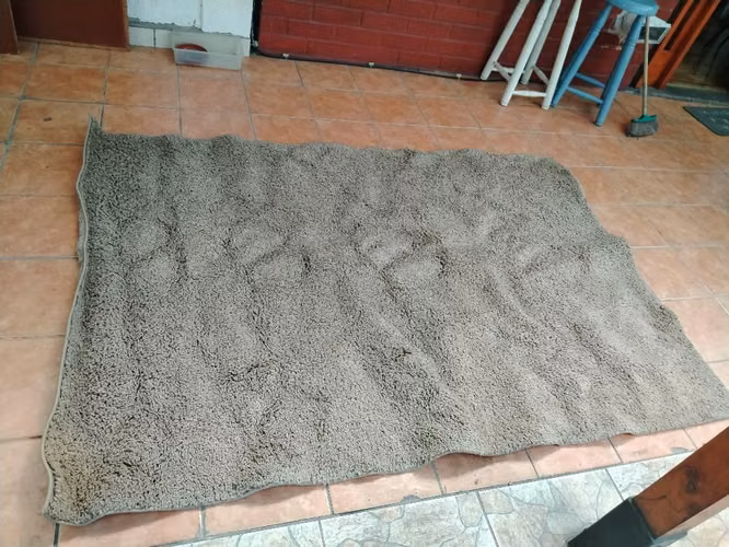 Vendo alfombras - Imagen 5