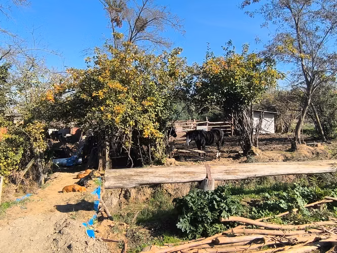 FUNDO EN LAS CABRAS DE 70 HECTAREAS - Imagen 7