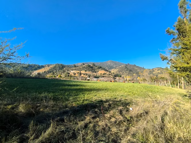 FUNDO EN LAS CABRAS DE 70 HECTAREAS - Imagen 8