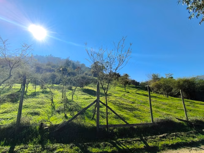 FUNDO EN LAS CABRAS DE 70 HECTAREAS - Imagen 10