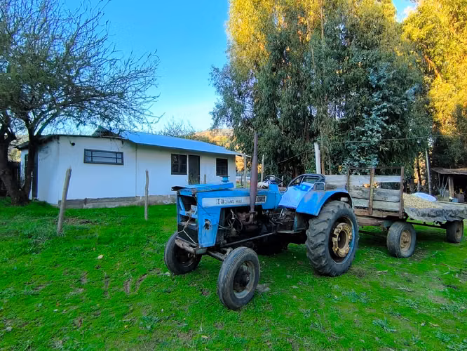 FUNDO EN LAS CABRAS DE 70 HECTAREAS - Imagen 2