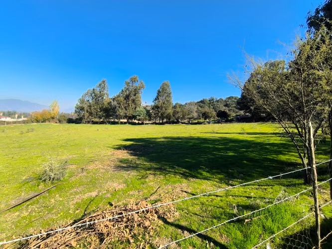 FUNDO EN LAS CABRAS DE 70 HECTAREAS - Imagen 11