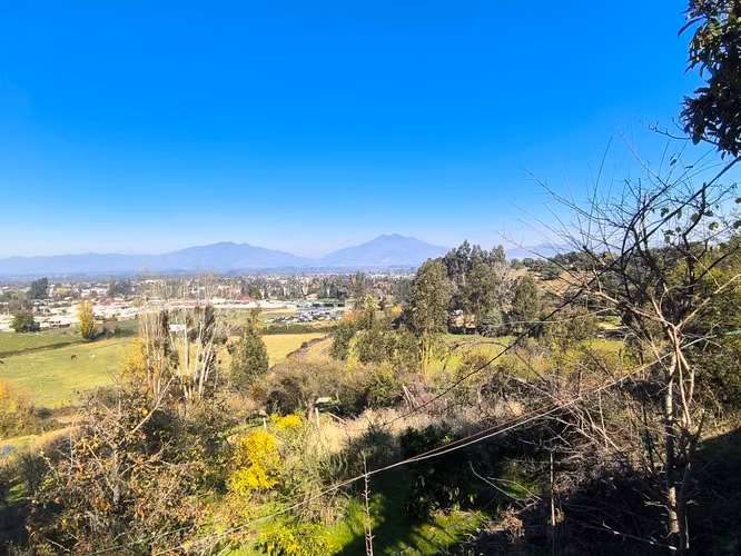 FUNDO EN LAS CABRAS DE 70 HECTAREAS - Imagen 15