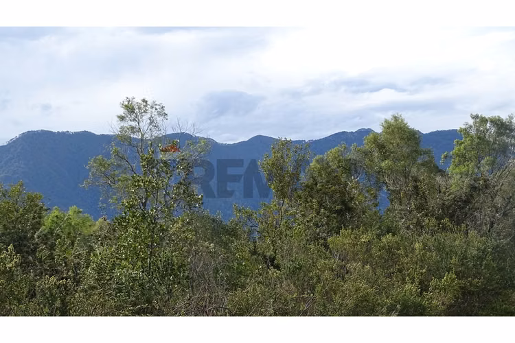 Parcela en altos del trancura, pucón - Imagen 13