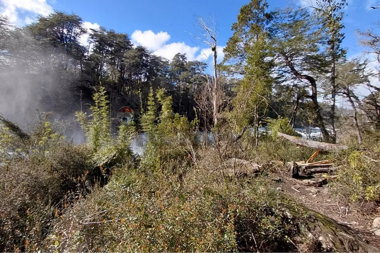Parcela en altos del trancura, pucón - Imagen 39