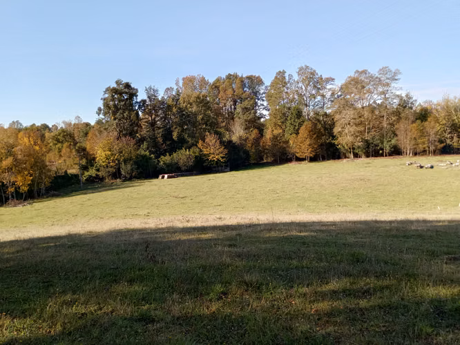 LINDO Y TRANQUILO LUGAR, PARA TENER SU PARCELA - Imagen 28