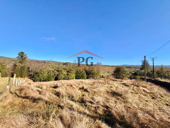 TERRENO 5000M2 CHANCOYAN BAJO VALDIVIA - Imagen 8