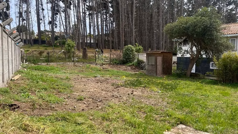 Sitio en venta en Algarrobo - Imagen 13