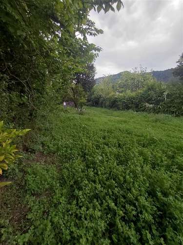 Casa en venta de 3 dorm. en Chépica