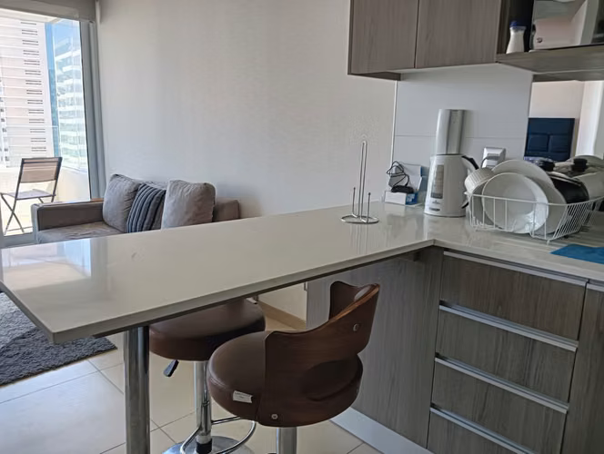 ARRIENDO AMOBLADO AÑO CORRIDO 1D 1B - Imagen 10