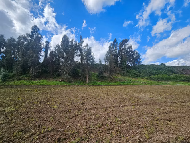¡Últimas parcelas de agrado disponibles en La Montaña de Teno!