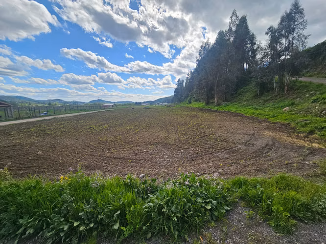 ¡Últimas parcelas de agrado disponibles en La Montaña de Teno!