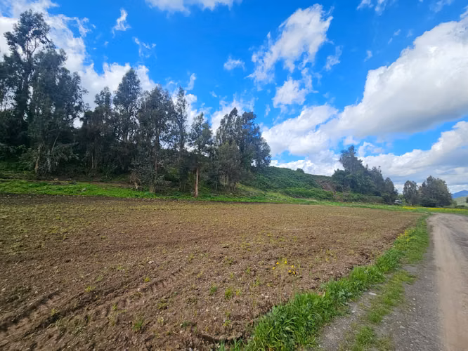 ¡Últimas parcelas de agrado disponibles en La Montaña de Teno!