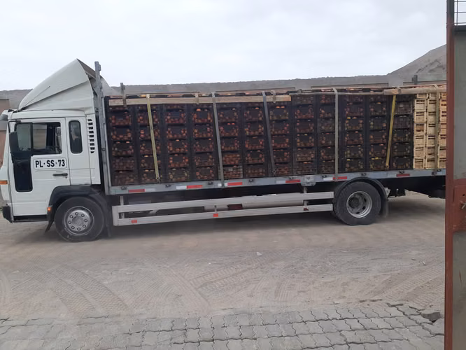 Camion volvo fl6 - Imagen 2
