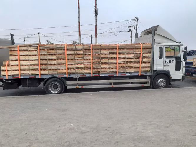 Camion volvo fl6 - Imagen 5