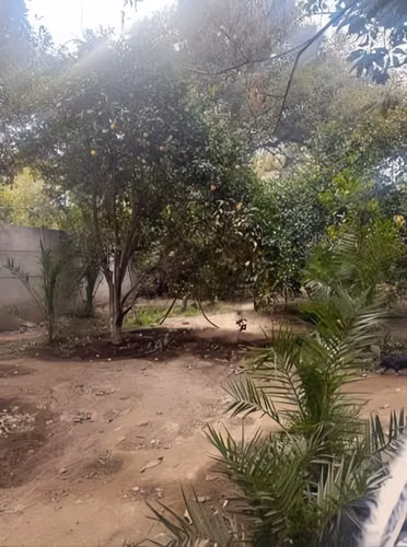 TERRENO ATENCIÓN INMOBILIARIAS LA FLORIDA - Imagen 6