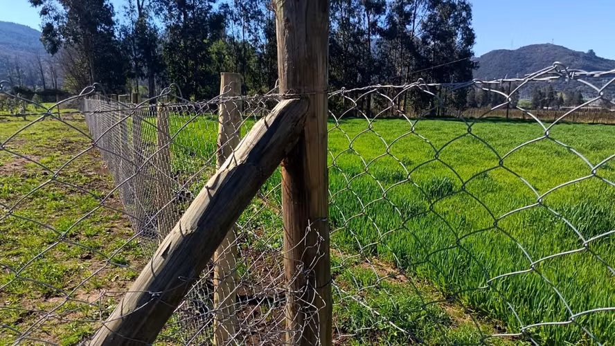Parcela 5500 mt2, Agua y Luz, 3 D, 2B, B - Imagen 2