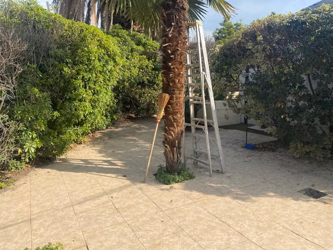 SE LIQUIDA CASA GRAN TERRENO Y CONSTRUCIÓN - Imagen 9