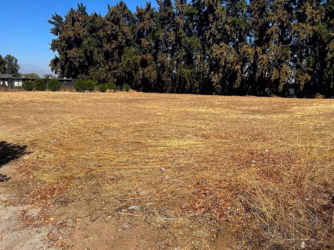 Parcela en exclusivo condominio  (Chicureo) 5000mt2 - Imagen 5