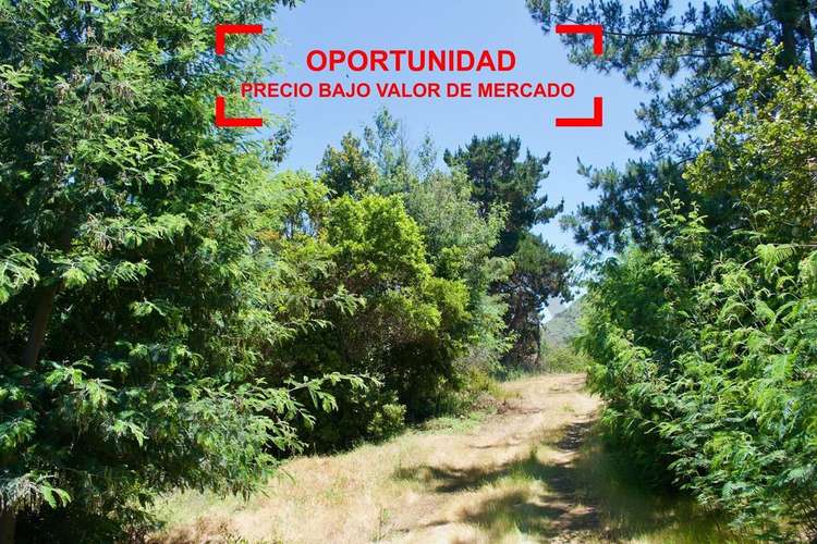 Gran oportunidad!!! … precio bajo valor de mercado