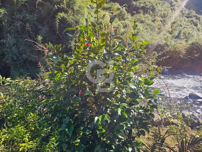 Exclusiva: Oportunidad de Inversión Única Orilla de Rio - Imagen 13