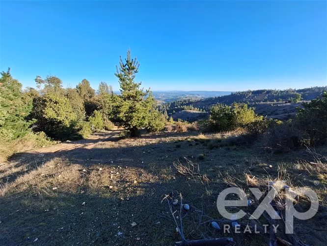 Vende Sitio (8 has) en Alto Ramírez Pichilemu - Imagen 8