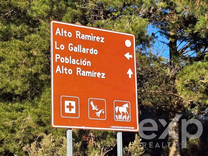 Vende Sitio (8 has) en Alto Ramírez Pichilemu - Imagen 16