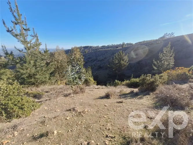 Vende Sitio (8 has) en Alto Ramírez Pichilemu - Imagen 6