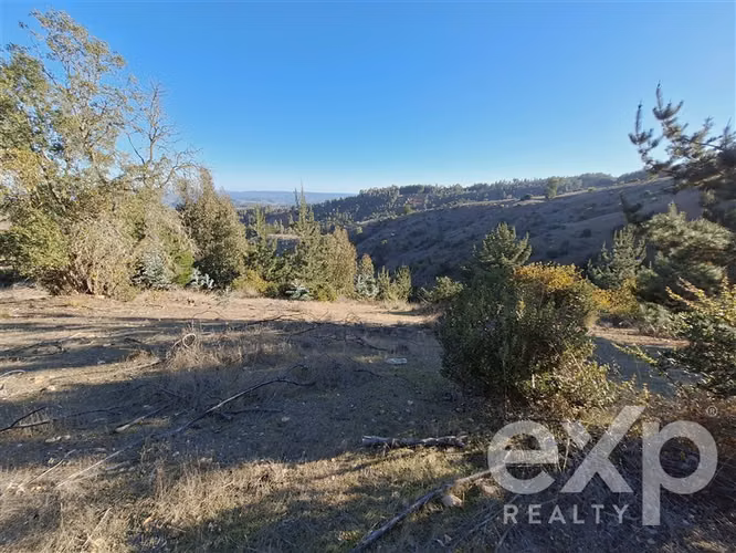 Vende Sitio (8 has) en Alto Ramírez Pichilemu - Imagen 3
