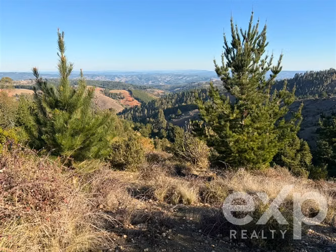 Vende Sitio (8 has) en Alto Ramírez Pichilemu - Imagen 15