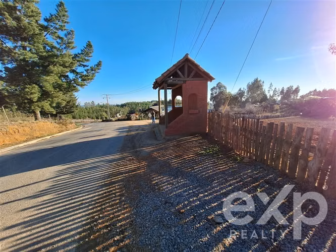 Vende Sitio (8 has) en Alto Ramírez Pichilemu - Imagen 18