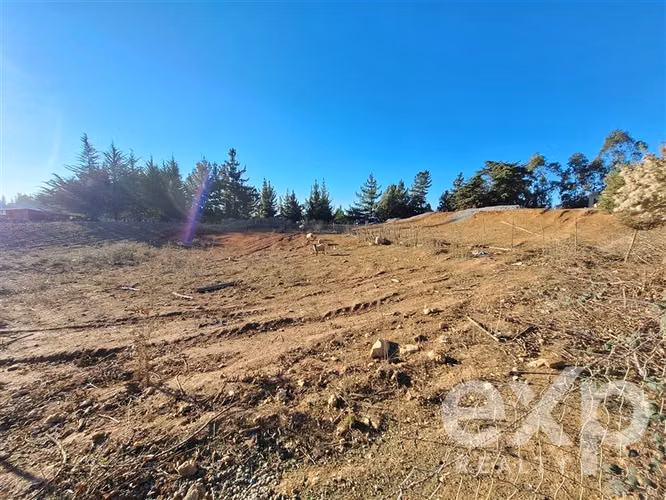 Vende Sitio (8 has) en Alto Ramírez Pichilemu - Imagen 11