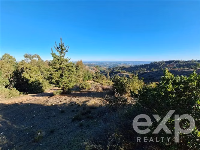 Vende Sitio (8 has) en Alto Ramírez Pichilemu - Imagen 2