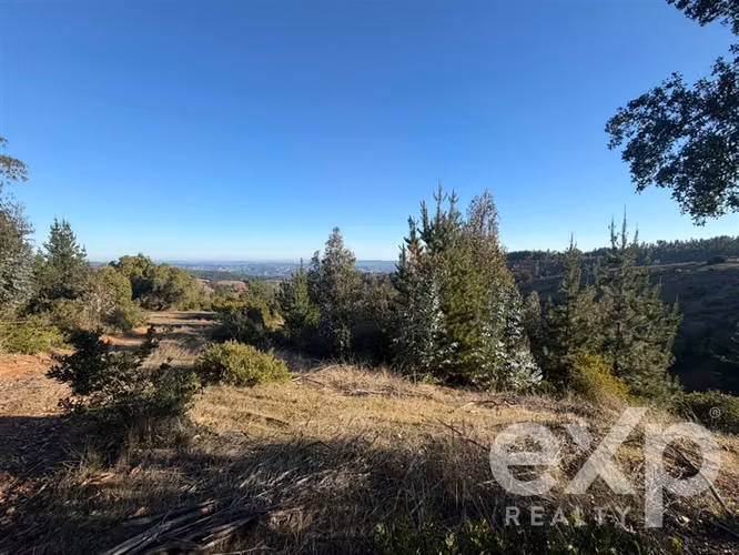 Vende Sitio (8 has) en Alto Ramírez Pichilemu - Imagen 13