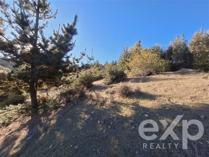Vende Sitio (8 has) en Alto Ramírez Pichilemu - Imagen 5