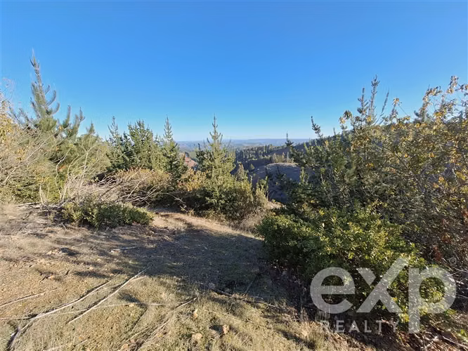 Vende Sitio (8 has) en Alto Ramírez Pichilemu - Imagen 7
