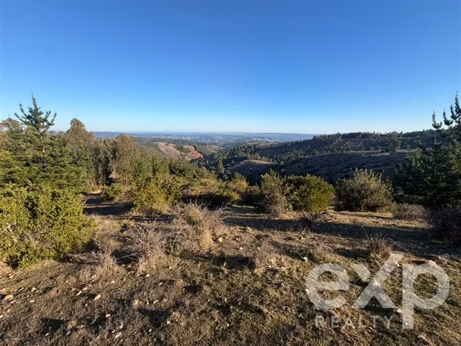 Vende Sitio (8 has) en Alto Ramírez Pichilemu - Imagen 12