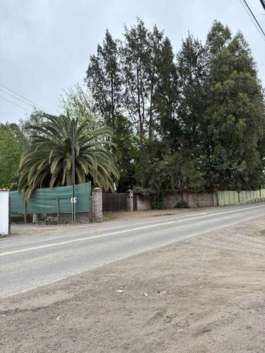 SANTA CRUZ Terreno 1.000 mtrs2 / Chomedahue