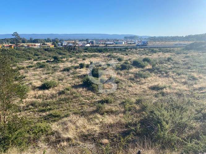 Parcela comercial en Ruta 5, Dalcahue - Oportunidad única