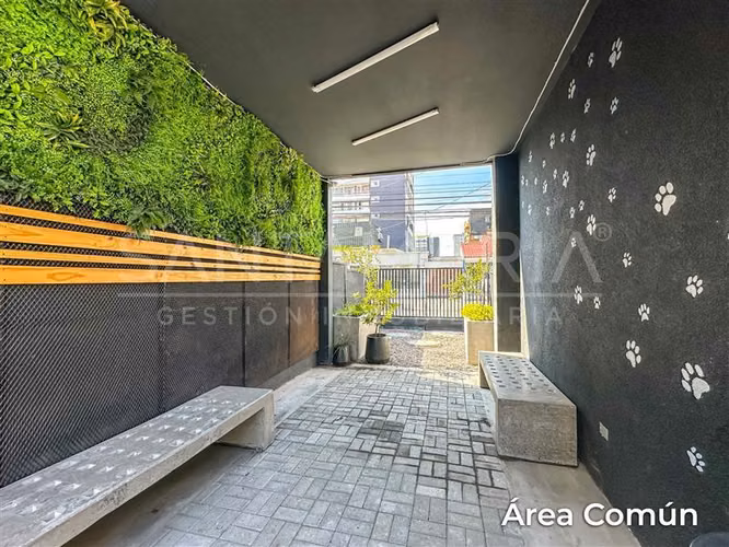 Arriendo Dpto 1Dorm. en Maipú cerca de UDD Concepción centro - Imagen 20