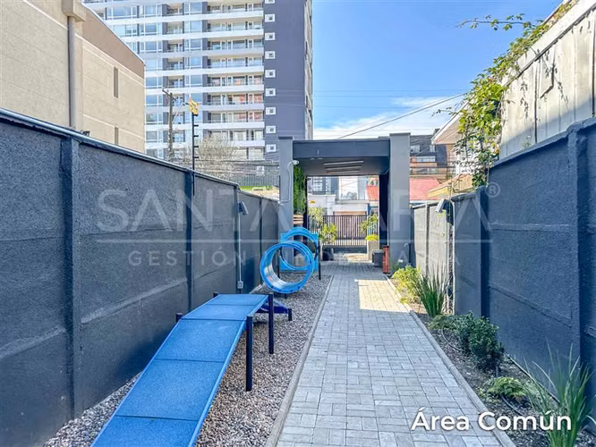 Arriendo Dpto 1Dorm. en Maipú cerca de UDD Concepción centro - Imagen 21