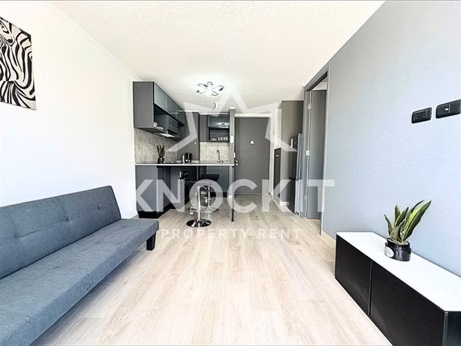 Arriendo Depto en La Cisterna - 1D1B Amoblado con Estac - Imagen 6