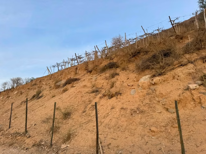 VICUÑA, KM 6,3, RANCHO CHAPARRAL, 74000 M2, SECTOR PERALILLO