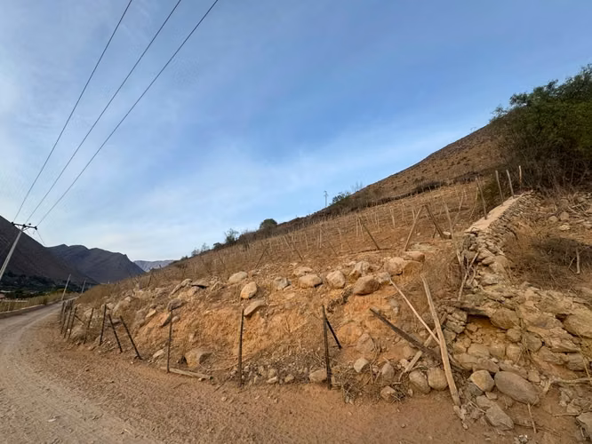 VICUÑA, KM 6,3, RANCHO CHAPARRAL, 74000 M2, SECTOR PERALILLO