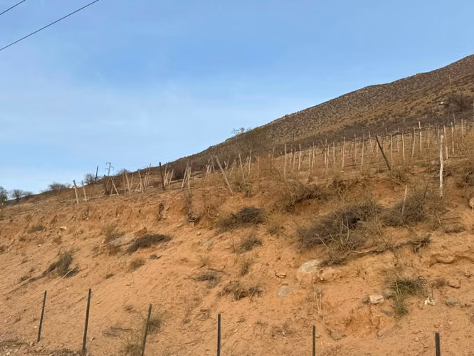 VICUÑA, KM 6,3, RANCHO CHAPARRAL, 74000 M2, SECTOR PERALILLO