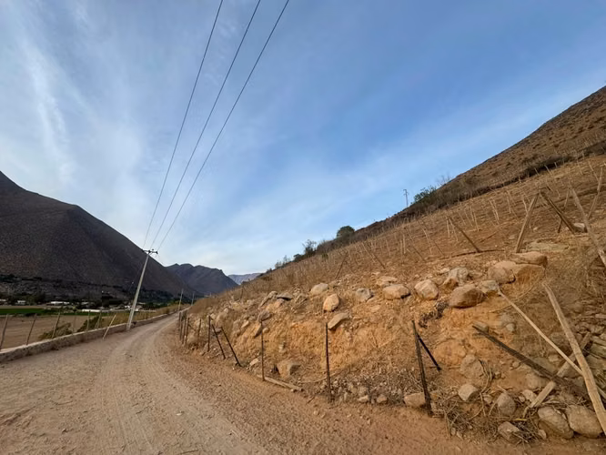 VICUÑA, KM 6,3, RANCHO CHAPARRAL, 74000 M2, SECTOR PERALILLO